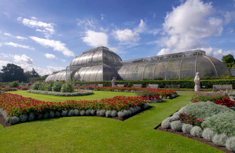 Kew Gardens Orchid Festival 2026