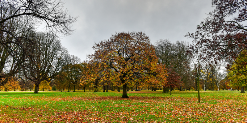 Hyde Park