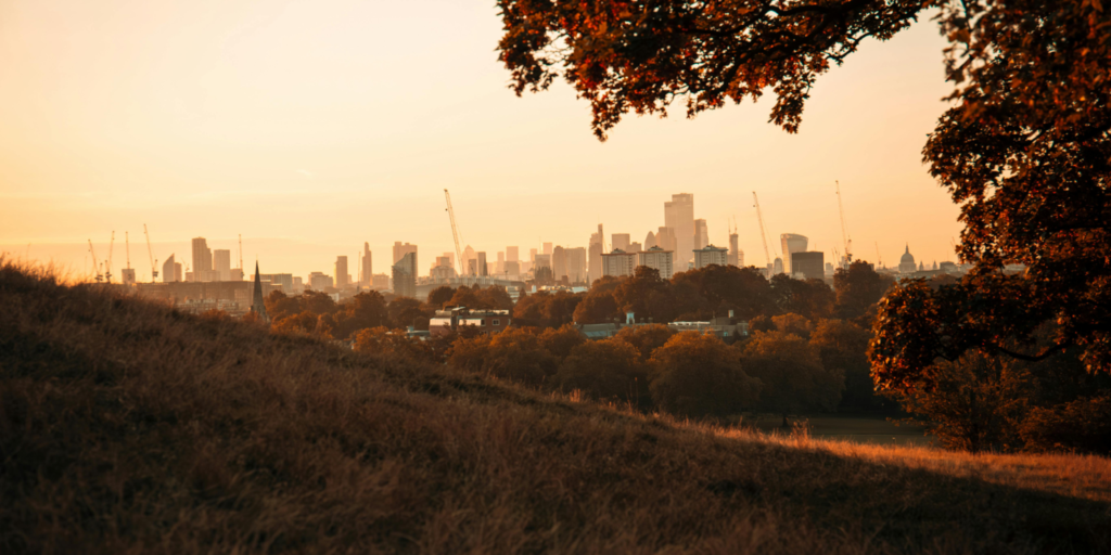 Primrose Hill 