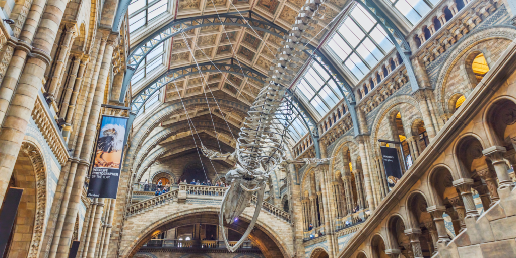 Natural History Museum