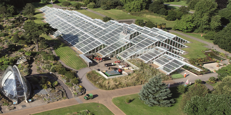 Why is The Princess of Wales Conservatory a Perfect Festival Venue?