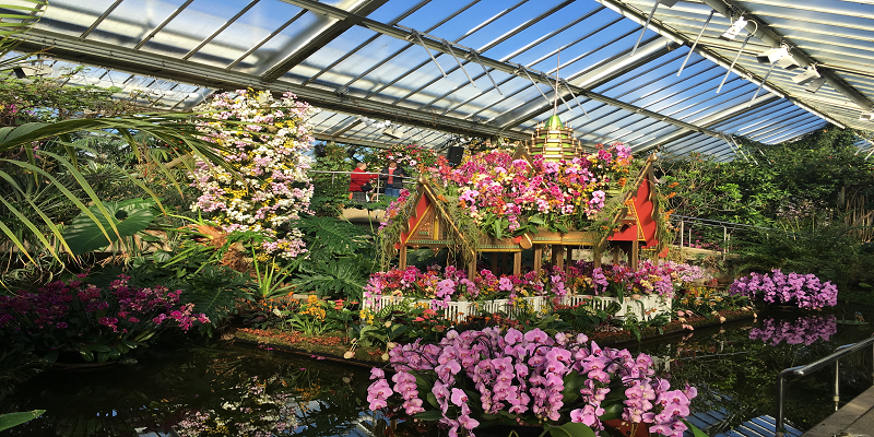 What is the Kew Orchid Festival?