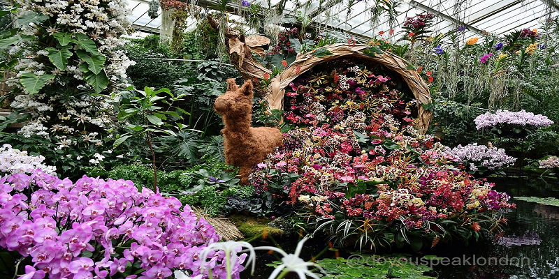Large-Scale Orchid Sculptures