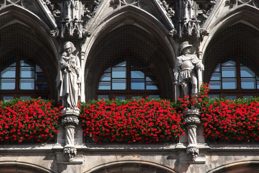 Red Roses and the St George's Cross